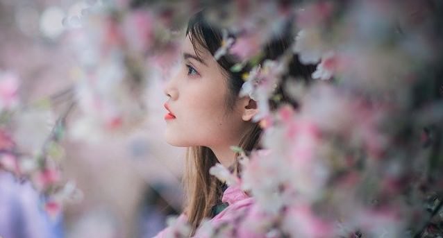 優美な女性：桜と美人の肖像画